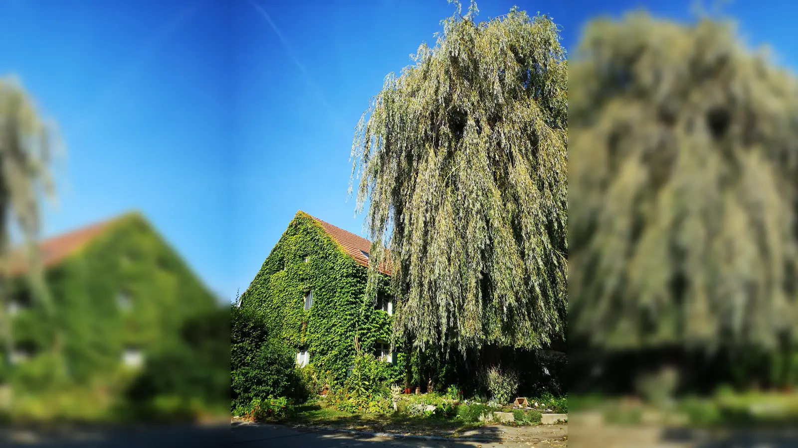 <b>„Wo ist denn hier die Haustür?“:</b> Für ihren verwunschenen Vorgarten wurde Familie Atzenhofer aus Weichs ausgezeichnet.  (Foto: Landratsamt Dachau)
