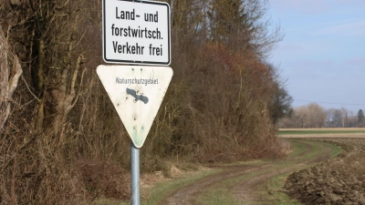 Am Rande der Auwälder auf Todtenweiser Gemeindegebiet will Berthold Brandmayr eine zehn Hektar große Freiflächen-Photovoltaikanlage bauen. Der Gemeinderat stellte das Vorhaben vorerst zurück.  (Foto: Wolfgang Glas)