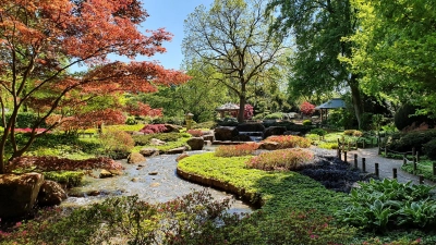 Japanischer Garten im Botanischen Garten Augsburg. (Foto: Botanischer Garten, Stadt Augsburg)