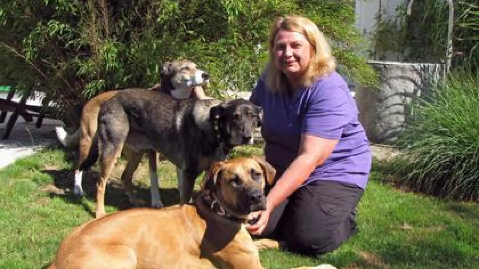 Sonja Stangl  mit ihren drei eigenen Hunden. Über 2000 Vierbeiner hat die Affingerin in ihrer Zeit als Hundetrainerin bereits ausgebildet. Nun ist Schluss, zumindest im Raum Aichach.	Foto: roe (Foto: roe)