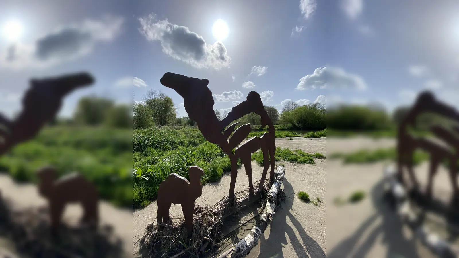 Zu sonnen scheint sich diese Kamel-Mama mit ihrem Nachwuchs. Diesen Anblick hat Sandra Schwangler beim Spaziergang am Paar-Düker bei Ecknach genossen und verewigt. Die Kamel-Skulpturen aus Stahl von Ingrid Martin sind 2008 im Rahmen der Aktion „Paar-Kunst” entstanden.<br> (Foto: Sandra Schwangler)