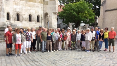 Der Seniorenbeirat Dasing hat kürzlich einen Ausflug nach Regensburg organisiert. 47 Teilnehmer starteten vom Domplatz aus zu einer informativen und kurzweiligen Stadtführung.  (Foto: Gabi Stürminger-Magony )