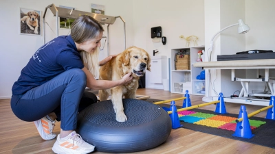<b>Julia Schubert</b> ist in Inchenhofen als Hundephysiotherapeutin tätig. Sie ist mit den Vierbeinern aufgewachsen.  (Foto: Dominik Gierke)