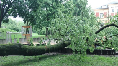 Ein Baum stürzte im vergangenen Jahr auf eine 28-Jährige und ihr knapp zweijähriges Kind, als diese auf einem Spielplatz spielten. Ein Teil der Anlage ist nun wieder geöffnet. (Foto: Laura Türk)