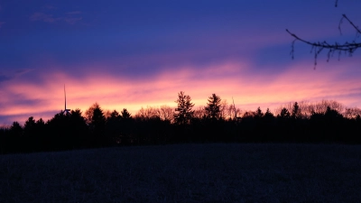 Auf der Anhöhe von Sielenbach Richtung Laimering war kürzlich ein spektakulärer Sonnenuntergang über dem Schönberger Wald zu sehen. Im gelb-rosa-farbigen Lichtschein konnte man die Rotorblätter der Windräder erkennen.  (Foto: Alice Lauria)
