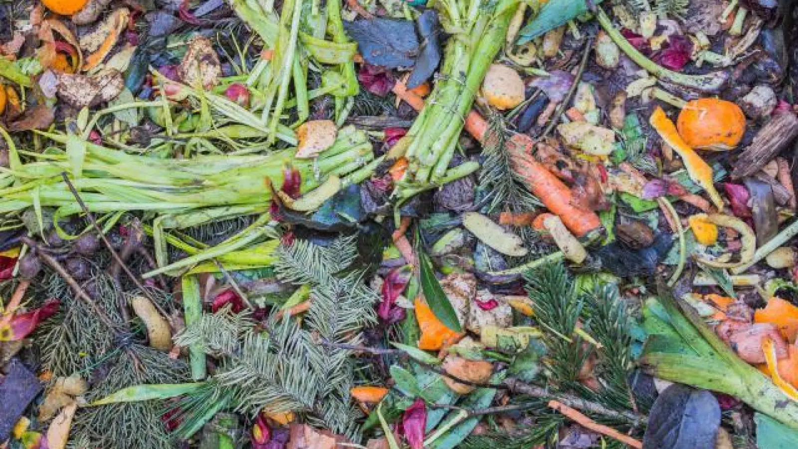 Pflanzliche Abfälle   werden in der Abfallverwertungsanlage zu Kompost. Durch Plastik in der Biotonne kann der Kompost aber Mikropartikel enthalten.