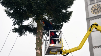 <b>Aus dem Christbaum für Alle</b> wird der Narrenbaum für die Faschingstage 2024: Nachdem die Feuerwehr den Baum entastet hat, gestalten Freiwillige verschiedener Faschingsgesellschaften den Baum entsprechend um. (Foto: Ruth Plössel/Stadt Augsburg)