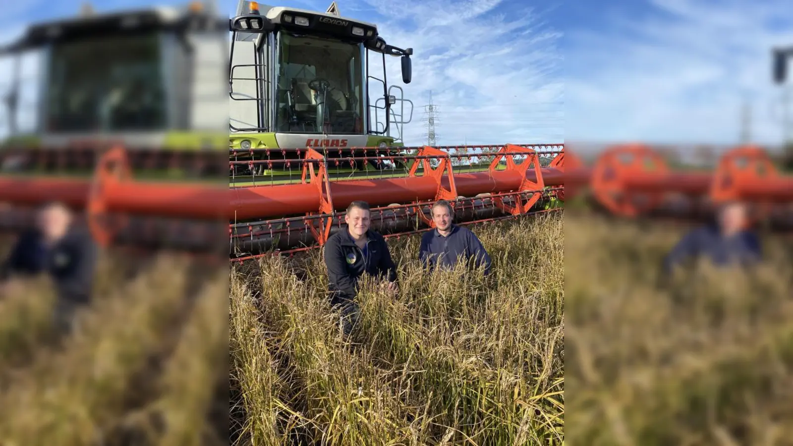 Die Landwirte Andreas und Thomas Knab   (von links)   auf ihrem Reisfeld in Haimhausen. Ende Oktober konnte sie das erste Mal ernten. Sie haben Geduld bewiesen und sich von Fehlversuchen nicht von ihrem Vorhaben abbringen lassen.	Foto: privat (Foto: privat)