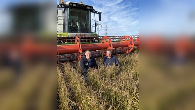Die Landwirte Andreas und Thomas Knab   (von links)   auf ihrem Reisfeld in Haimhausen. Ende Oktober konnte sie das erste Mal ernten. Sie haben Geduld bewiesen und sich von Fehlversuchen nicht von ihrem Vorhaben abbringen lassen.	Foto: privat (Foto: privat)