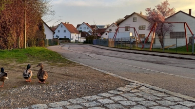 <b>Die Weiherstraße</b> in Igenhausen wird ausgebaut. Nun hat der Gemeinderat den Auftrag dafür vergeben.  (Archivfoto: Ines Speck)