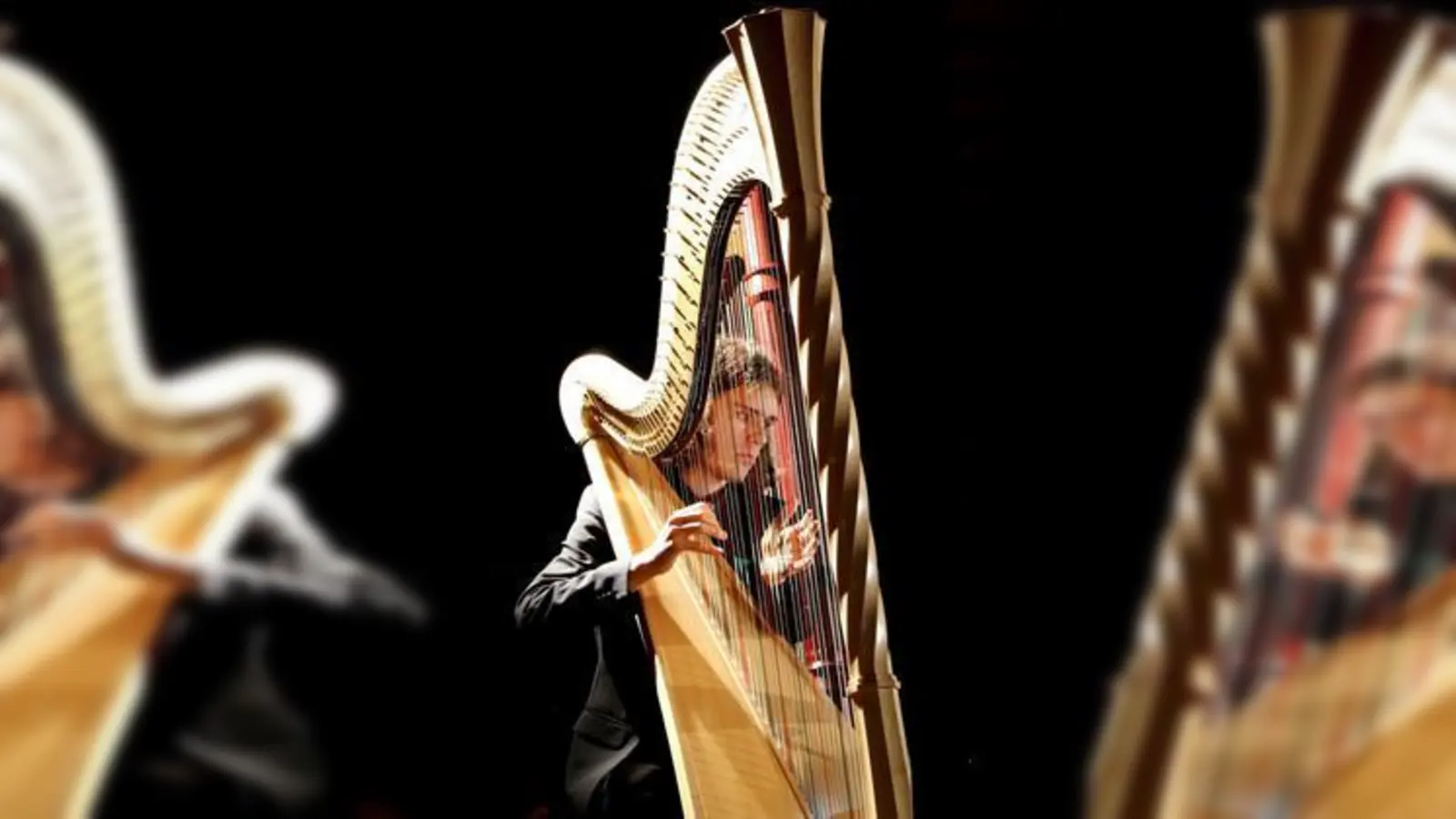 Felix Hahn   an der Harfe.	    	Fotos: Claudia Neumüller (Fotos: Claudia Neumüller)