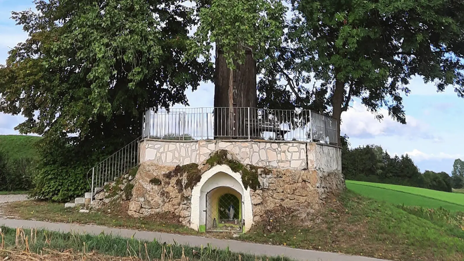 <b>Eine markante Stelle</b> mit einer mächtigen Pappel befindet sich nördlich von Aindling: der Bußberg. Früher stand hier eine Kapelle mit einer im Grabe liegenden Christusfigur.  (Foto: Josef Abt)