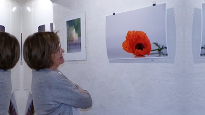 Eine Mohnblume, die wirkt wie eine Tänzerin: Das Foto trägt den treffenden Namen „Carmen”.  (Foto: Gisela Huber)