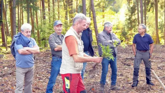Setzlinge   von Fichte, Tanne und Buche hatte Joachim Geyer vom AELF dabei und zeigte, wie der Waldbauer die Anwuchs-Quote mit verbesserter Pflanztechnik erhöhen kann. 	Foto: Martin Golling (Foto: Martin Golling)