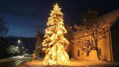 Der Hausener Dorf-Weihnachtsbaum erstrahlt vor allem nachts in all seiner Pracht.  (Foto: Josef Abt)