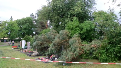 <b>Abgeknickte Baumkronen</b> landeten auf Gräbern im Rehlinger Friedhof.  (Foto: Josef Abt)