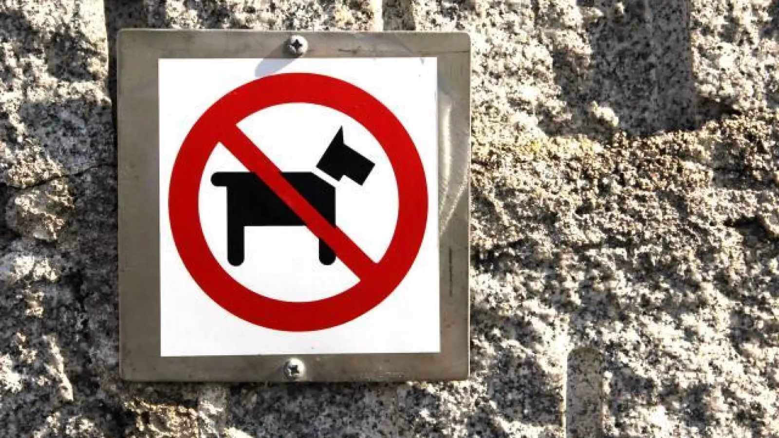 Keine Hunde   an den Sander Seen. Laut Satzung ist das Mitführen verboten. 	Foto: pixabay (Foto: pixabay)
