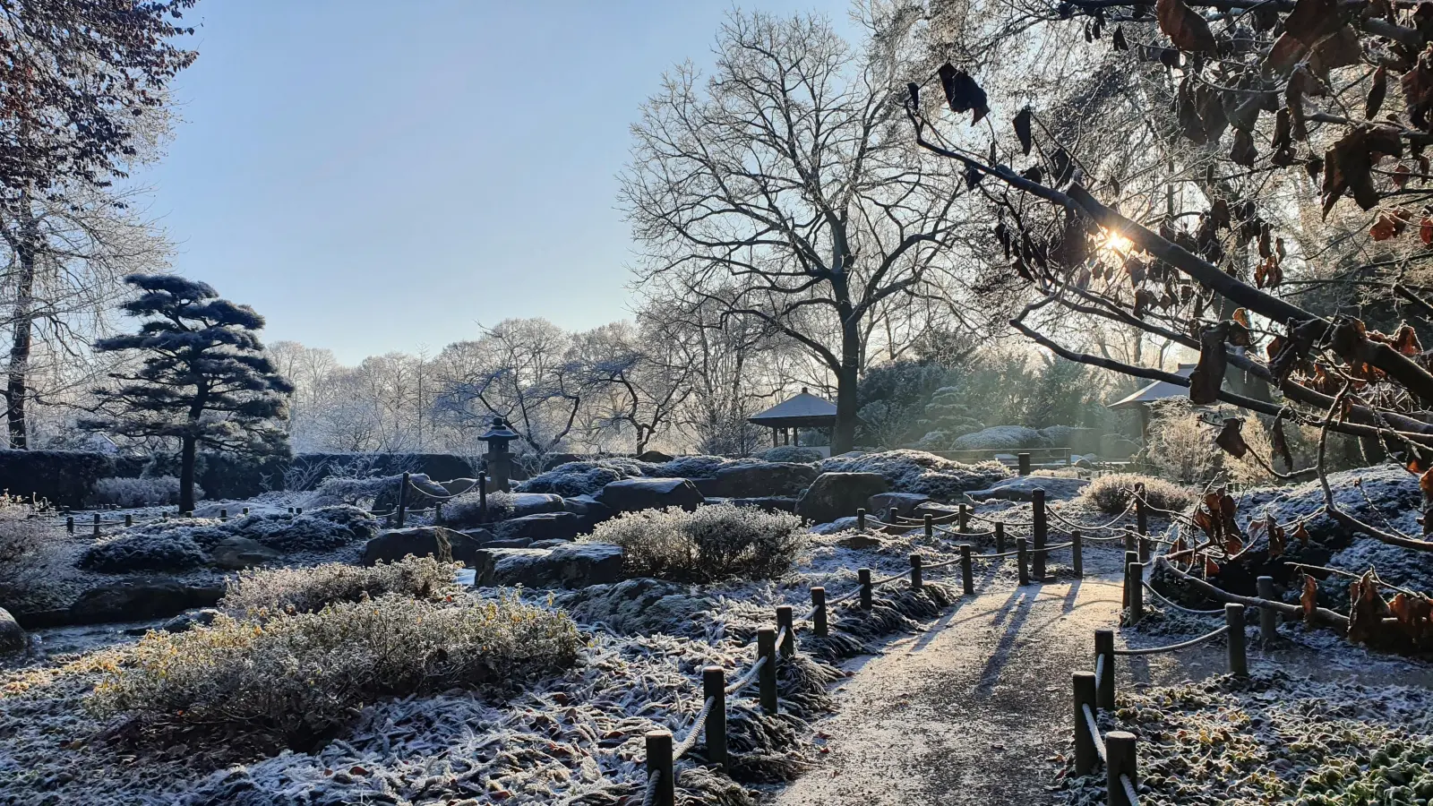 Im Japanischen Garten erschafft das Winterwetter besondere Stimmungen. (Foto: Botanischer Garten Augsburg)