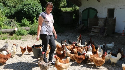 Hühner und kinderfreundliche Ziegen hält Petra Völk auf ihrem Hof in Morabach. Nach einer Pause von 2012 bis März 2023 soll der Betrieb nun in alter Tradition und mit frischem Wind weiter geführt werden.<br> (Foto: Alice Lauria)
