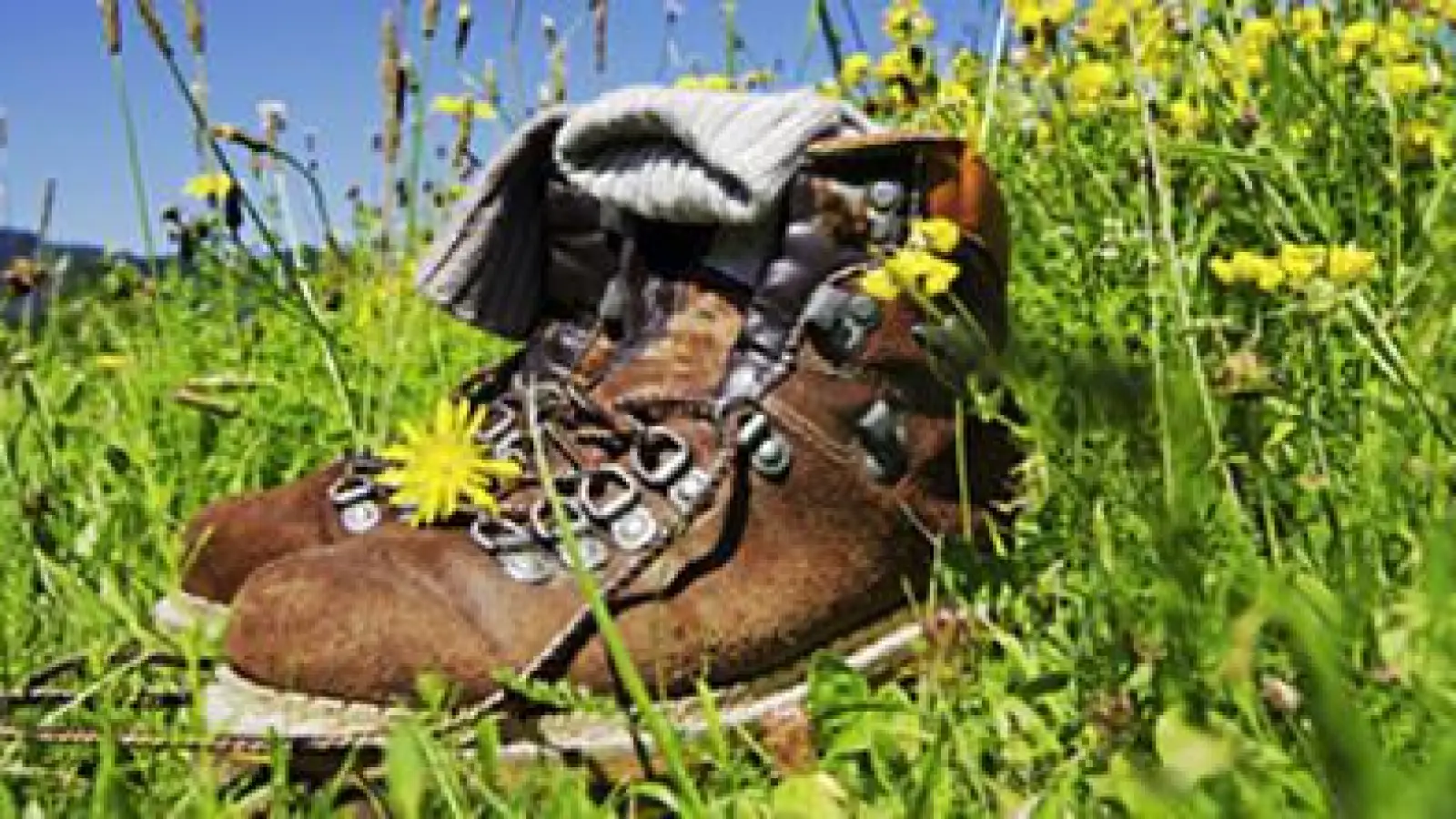 mountain boots on alpine pasture with blue sky