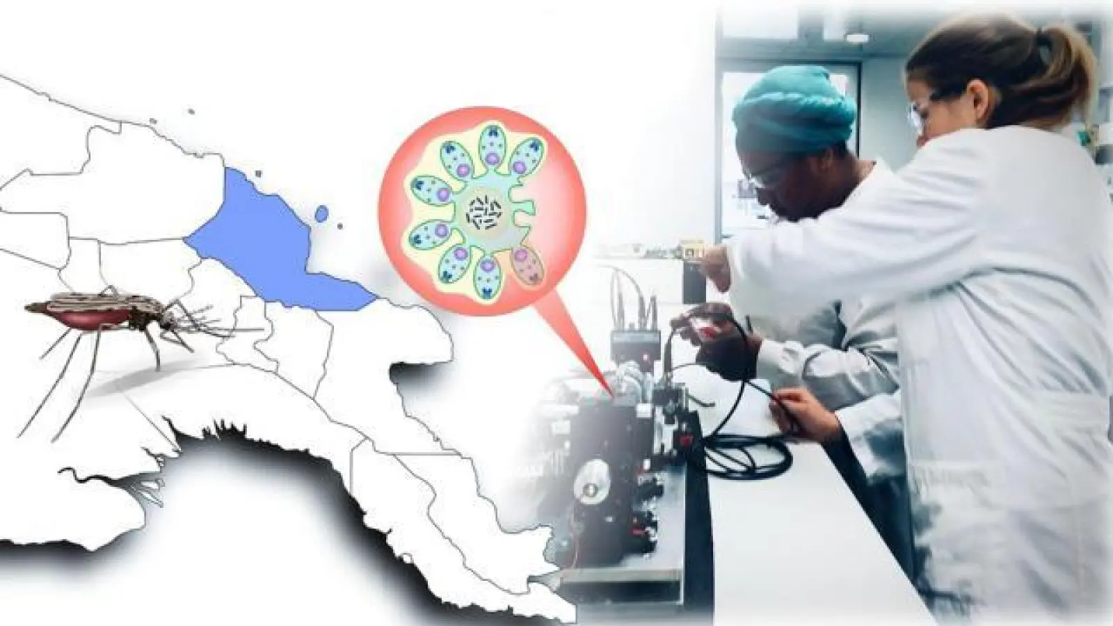 „Geißel der ärmsten Länder”:   Physiker der Universität Augsburg haben mit Kollegen von der australischen James Cook University eine neue Diagnose-Methode auf Malaria entwickelt. 		    		Foto: Universität Augsburg (Foto: Universität Augsburg)
