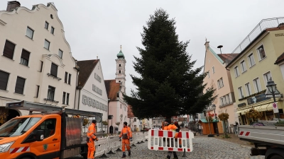 Der Advent kann kommen: Der Christbaum auf dem Aichacher Stadtplatz steht bereits.  (Foto: Erich Hoffmann)