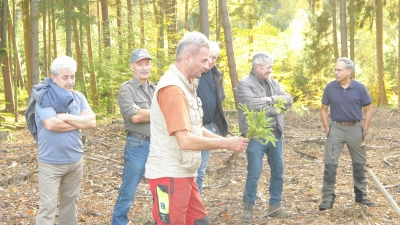 <b>Forstpflanzen</b> von Fichte, Tanne und Buche hatte Joachim Geyer vom AELF dabei und zeigte, wie der Waldbauer die Anwuchs-Quote mit verbesserter Pflanztechnik erhöhen kann.  (Foto: Martin Golling)