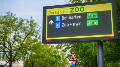 Freie Parkplätze am Zoo gibt es an den Wochenenden im Sommer eher selten. An besucherstarken Tagen klagen Anwohner über zugeparkte Seitenstraßen. Durch den Rückbau eines Provisoriums an der Hofrat-Röhrer-Straße wird das Verkehrschaos rund um den Zoo nun noch größer. (Foto: Maximilian Tauch)