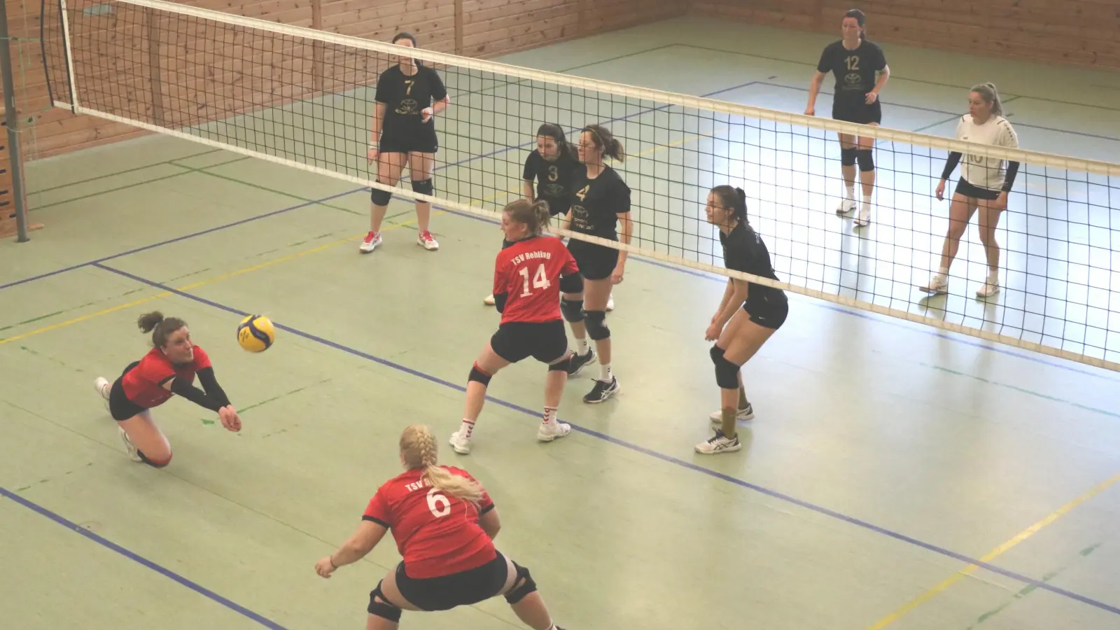 <b>Gegen den neuen Tabellenführer</b> Tapfheim kämpften die Rehlinger Volleyballerinnen (rote Trikots) um jeden Ball, zogen aber nach fünf Sätzen den Kürzeren. (Foto: Josef Abt)