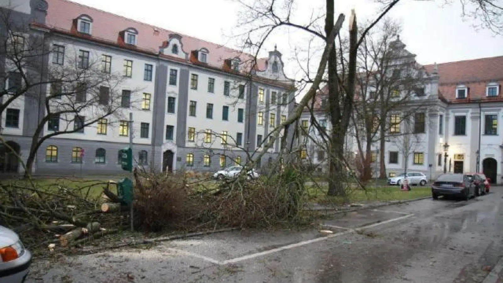 Vor der Regierung von Schwaben   stürzte ein Baum um.	    	Fotos: Berufsfeuerwehr Augsburg (Fotos: Berufsfeuerwehr Augsburg)