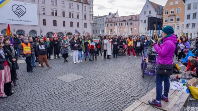 Der Demonstrationszug führte vom Rathausplatz durch die Innenstadt zurück zum Rathausplatz. (Foto: Maximilian Tauch)