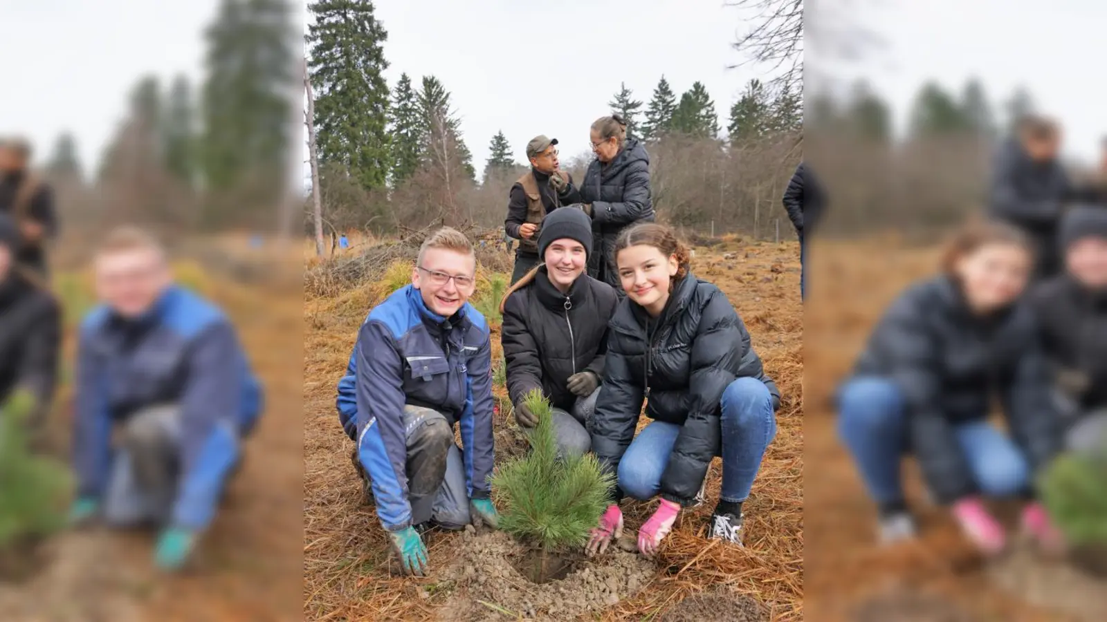 Über 1000 Pflanzen   brachten Schüler und Schülerinnen der Aindlinger Mittelschule kürzlich in den Boden des Lechauwaldes bei Todtenweis ein. 	Foto: Sofia Brandmayr (Foto: Sofia Brandmayr)