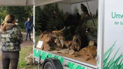 Das Wildmobil des Bayerischen Jagdverbands zeigte Wald- und Wiesenbewohner aus den heimischen Wäldern.  (Foto: tama)
