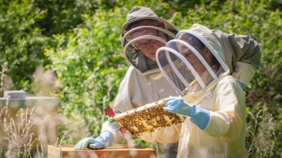 Der Honigbalsamessig der Affinger Imkerei Honiglandschaften zählt zu Bayerns besten Bio-Produkten (wir berichteten). Um die Honigessigproduktion zu erweitern, erhielt die Biolandimkerei eine Förderung.  (Foto: Honiglandschaften)