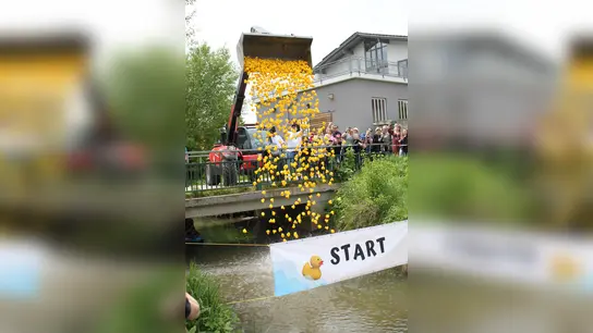 <b>Gemeinderat Martin Weinhuber</b> schüttet an der Brücke in der Flurstraße die gelbe Plastikmeute mit seinem Teleskoplader in die Weilach.  (Foto: Xaver Ostermayr)