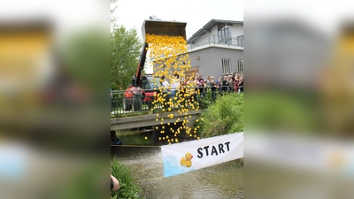 <b>Gemeinderat Martin Weinhuber</b> schüttet an der Brücke in der Flurstraße die gelbe Plastikmeute mit seinem Teleskoplader in die Weilach.  (Foto: Xaver Ostermayr)