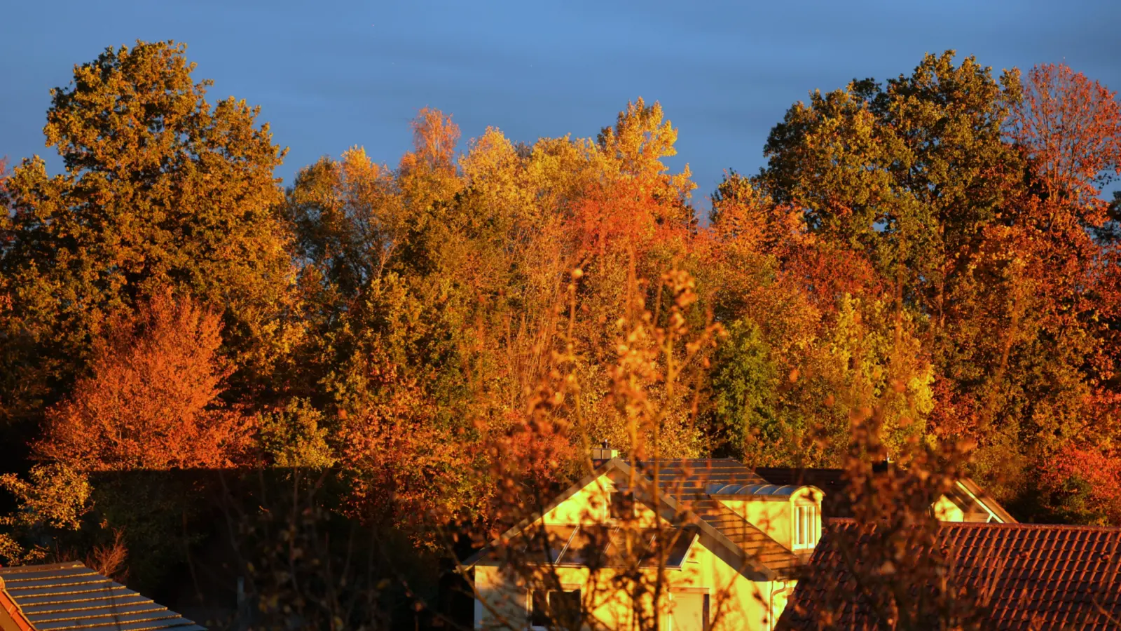 Leuchtender Herbst in Algertshausen.  (Foto: Erich Hoffmann)