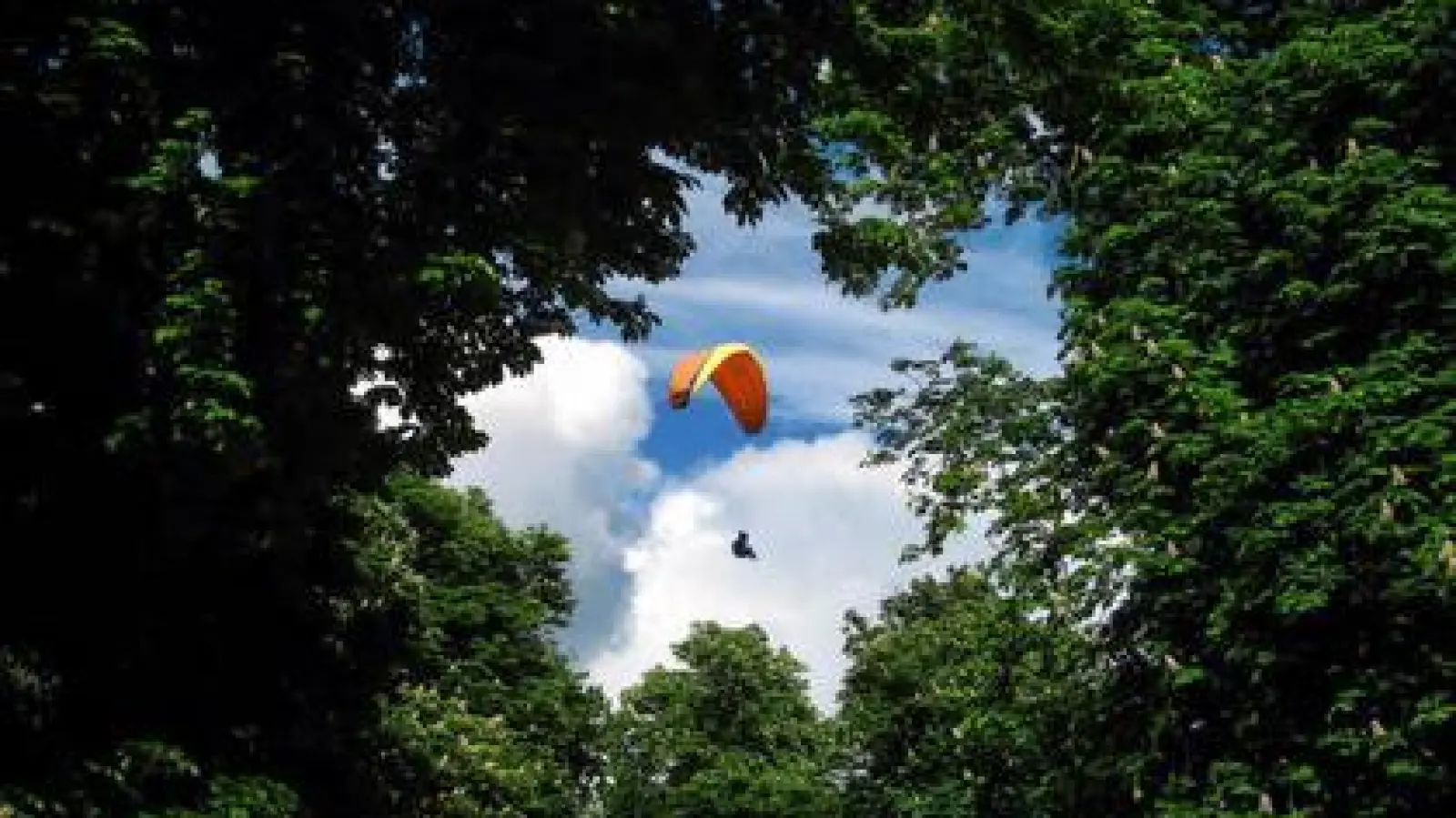 Bald sollen  auch über den Wäldern von Dasing Paraglider fliegen. Ein Startplatz in Wessiszell wurde beantragt und von den Gemeinderäten mit Wohlwollen zur Kenntnis genommen. 	Symbolfoto: Pixabay (Symbolfoto: Pixabay)