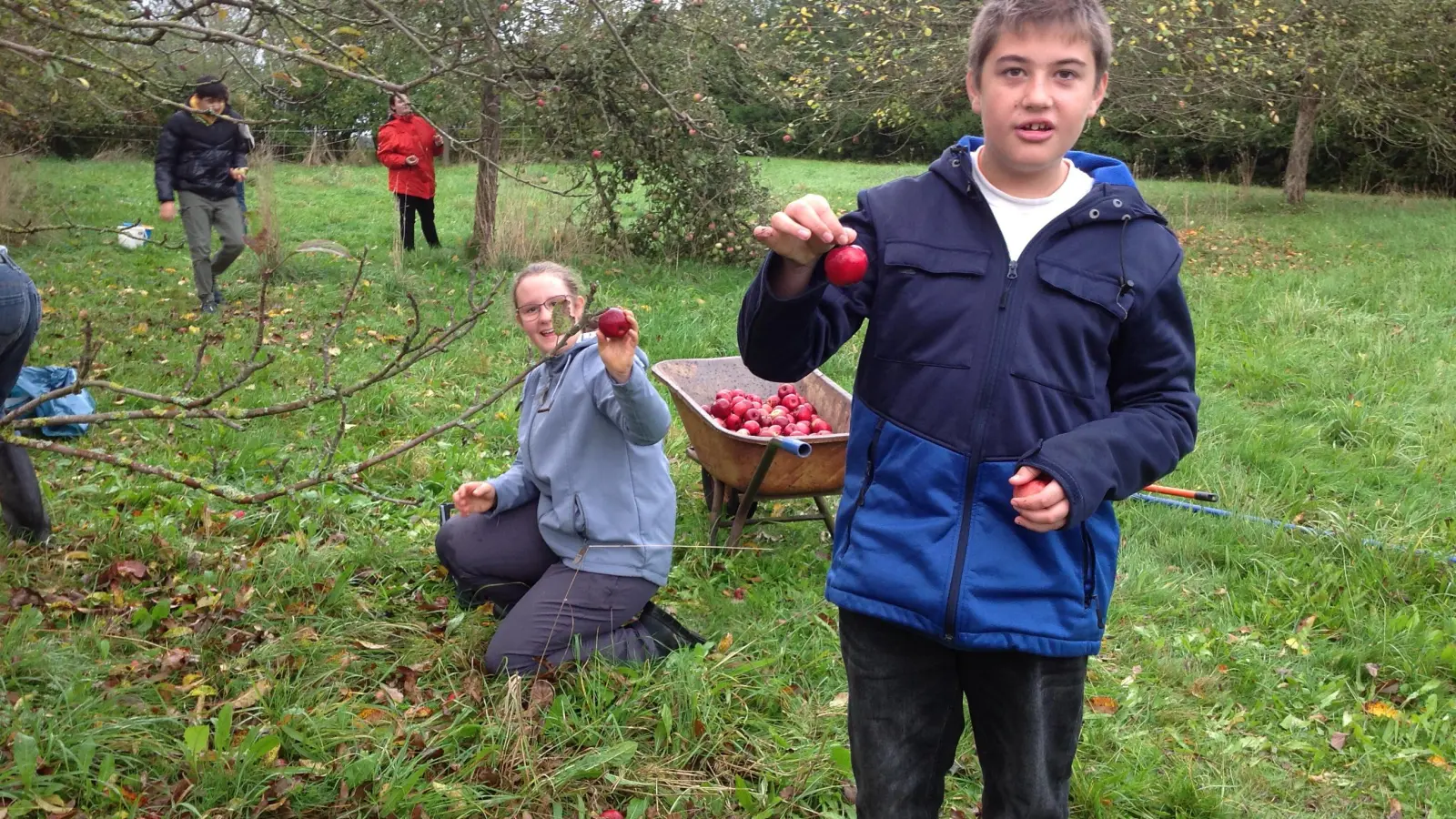 <b>Viel Spaß bei der Apfelernte</b> hatte die Schülerinnen und Schüler der Elisabethschule. (Foto: Klaus Steinhardt)