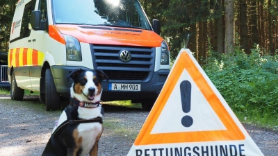 Rettungshunde gesucht: Malteser veranstalten ein Casting. (Foto: Malteser Hilfsdienst Augsburg)