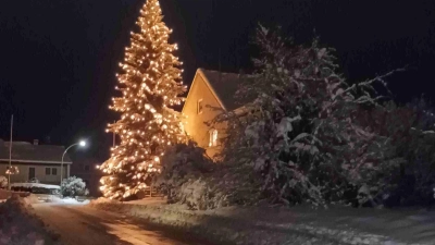 Weihnachtsbaum in Echsheim (Foto: Willi Wagner)