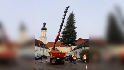 Der Christbaum in Kühbach (Foto: Helene Monzer)